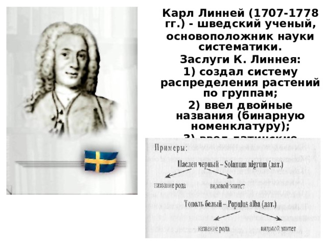 Карл Линней (1707-1778 гг.) - шведский ученый, основоположник науки систематики. Заслуги К. Линнея: 1) создал систему распределения растений по группам; 2) ввел двойные названия (бинарную номенклатуру); 3) ввел латинские названия. 