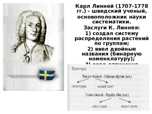 Становление систематики как науки связывают с именем. Бинарная номенклатура Карла Линнея. Карл Линней систематические единицы. Основоположником систематики считается шведский учёный. Принцип двойных латинских названий вида.