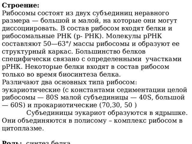 Строение: Рибосомы состоят из двух субъединиц неравного размера — большой и малой, на которые они могут диссоциировать. В состав рибосом входят белки и рибосомальные РНК (р- РНК). Молекулы рРНК составляют 50—63°/ массы рибосомы и образуют ее структурный каркас. Большинство белков специфически связано с определенными  участками рРНК. Некоторые белки входят в состав рибо­сом только во время биосинтеза белка. Различают два основных типа рибосом: эукариотические (с константами седиментации целой рибосомы — 80S малой субъединицы — 40 S , большой — 60S) и прокариотические (70,30, 50 )              Субъединицы эукариот образуются в ядрышке. Они объединяются в полисому – комплекс рибосом в цитоплазме.   Роль:   синтез белка. 