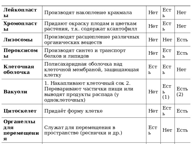 Лейкопласты Производят накопление крахмала Хромопласты Придают окраску плодам и цветкам растения, т.к. содержат ксантофилл Лизосомы Нет Пероксисомы Производят расщепление различных органических веществ Нет Есть Есть Нет Производят синтез и транспорт белков и липидов Клеточная оболочка Нет Нет Вакуоли Полисахаридная оболочка над клеточной мембраной, защищающая клетку Нет Нет Цитоскелет 1. Накапливают клеточный сок 2. Переваривают частички пищи или выводят продукты распада (у одноклеточных) Есть Есть Есть Придаёт форму клетке Есть Есть Нет Органеллы для перемещения Мезосомы Есть (1) Нет Нет Служат для перемещения в пространстве (реснички и др.) Есть (2) Есть Осуществляют дыхание и синтез органических веществ Есть Есть Есть Нет Есть Нет Нет 