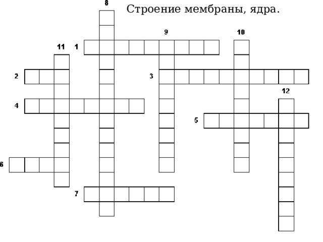 Строение мембраны, ядра. 