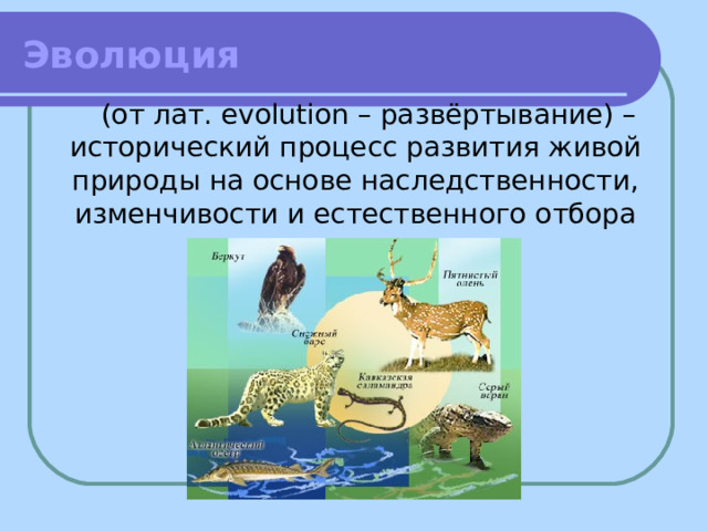 Эволюция (от лат. evolution – развёртывание) – исторический процесс развития живой природы на основе наследственности, изменчивости и естественного отбора