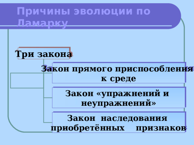 Причины эволюции по Ламарку Три закона Закон прямого приспособления к среде Закон «упражнений и неупражнений» Закон наследования приобретённых признаков