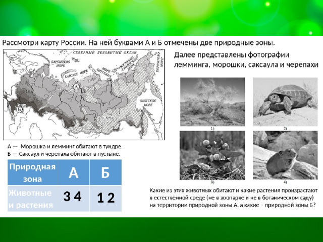9 мая впр 4 класс окружающий. Карта природных зон России 4 класс ВПР. ВПР окружающий мир природные зоны. Карта природные зоны России 4 класс окружающий мир для ВПР.
