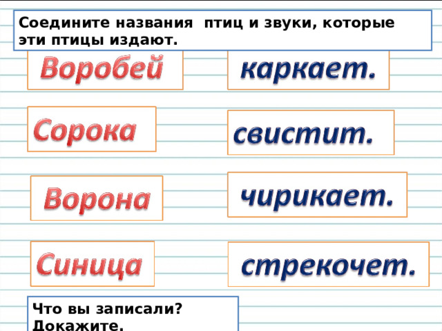Как называются соединенные слова