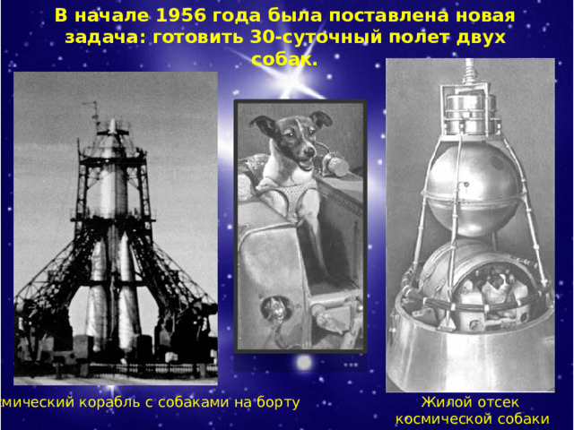В начале 1956 года была поставлена новая задача: готовить 30-суточный полет двух собак. Жилой отсек  космической собаки Космический корабль с собаками на борту 