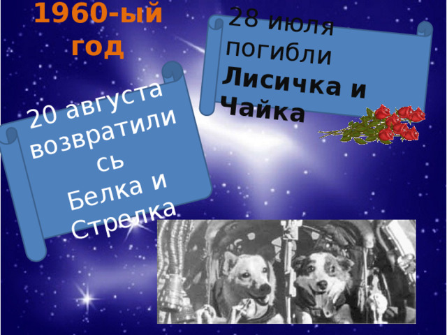 1960-ый год 20 августа возвратились Белка и Стрелка 28 июля погибли  Лисичка и Чайка 