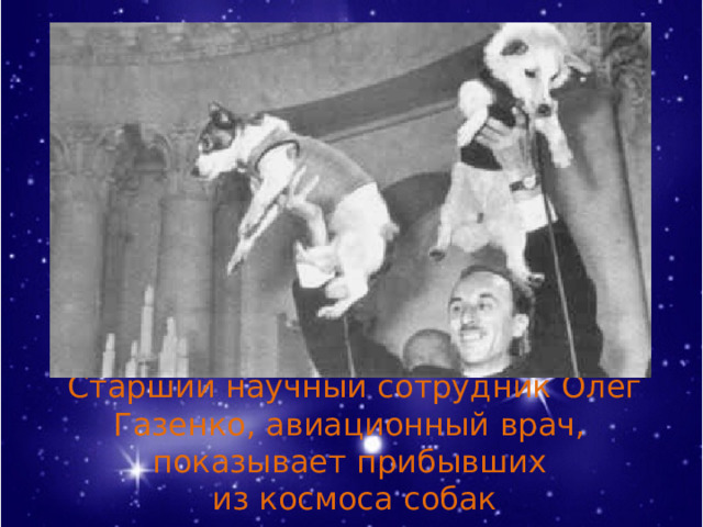 Старший научный сотрудник Олег Газенко, авиационный врач, показывает прибывших  из космоса собак 
