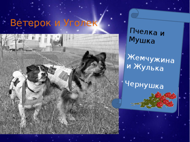 Пчелка и Мушка Жемчужина и Жулька Чернушка Ветерок и Уголек 