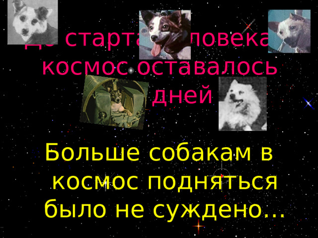 До старта человека в космос оставалось  18 дней Больше собакам в космос подняться было не суждено… 