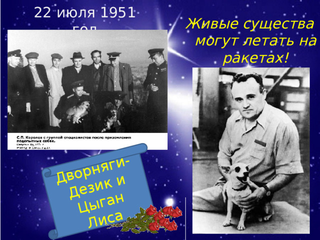 22 июля 1951 год Дворняги- Дезик и Цыган  Лиса Живые существа могут летать на ракетах! 