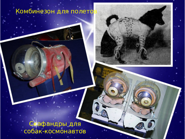 Комбинезон для полетов Скафандры для собак-космонавтов 