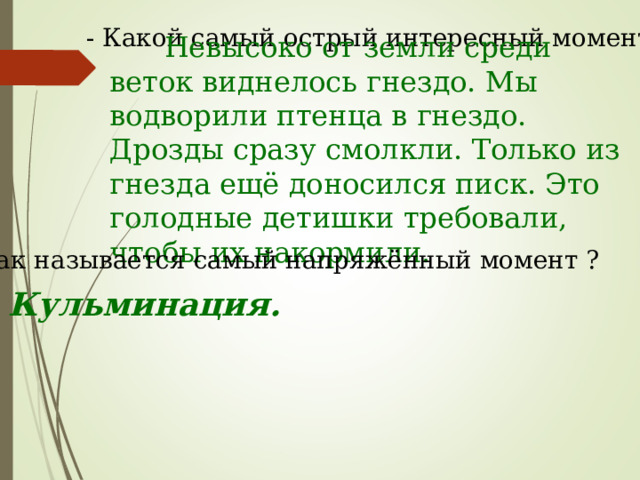 - Какой самый острый интересный момент?  Невысоко от земли среди веток виднелось гнездо. Мы водворили птенца в гнездо. Дрозды сразу смолкли. Только из гнезда ещё доносился писк. Это голодные детишки требовали, чтобы их накормили. - Как называется самый напряжённый момент ? Кульминация. 