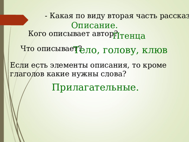 - Какая по виду вторая часть рассказа? Описание. Кого описывает автор? Птенца Что описывает? Тело, голову, клюв Если есть элементы описания, то кроме глаголов какие нужны слова? Прилагательные. 