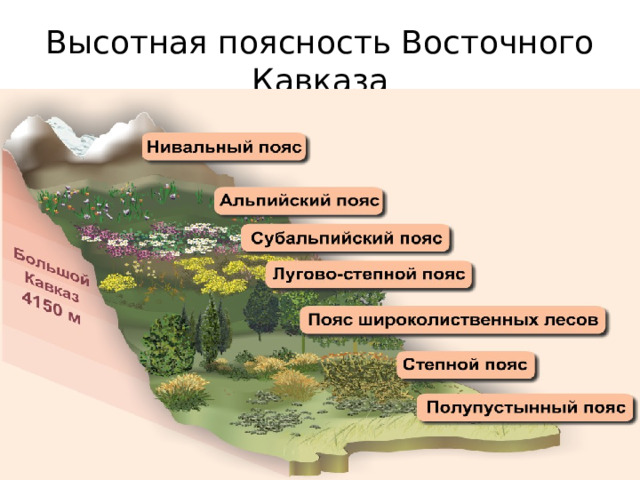 Высотная поясность Восточного Кавказа 