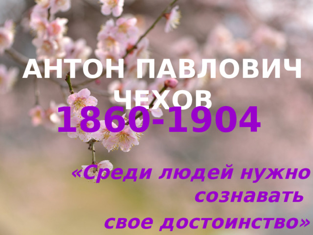 АНТОН ПАВЛОВИЧ ЧЕХОВ 1860-1904  «Среди людей нужно сознавать свое достоинство»  