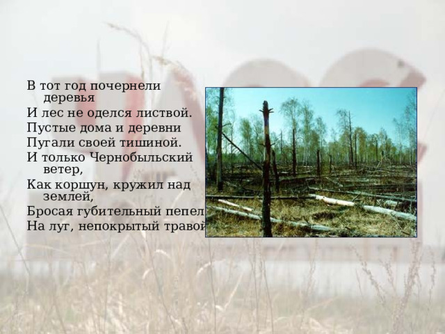 В тот год почернели деревья И лес не оделся листвой. Пустые дома и деревни Пугали своей тишиной. И только Чернобыльский ветер, Как коршун, кружил над землей, Бросая губительный пепел На луг, непокрытый травой 