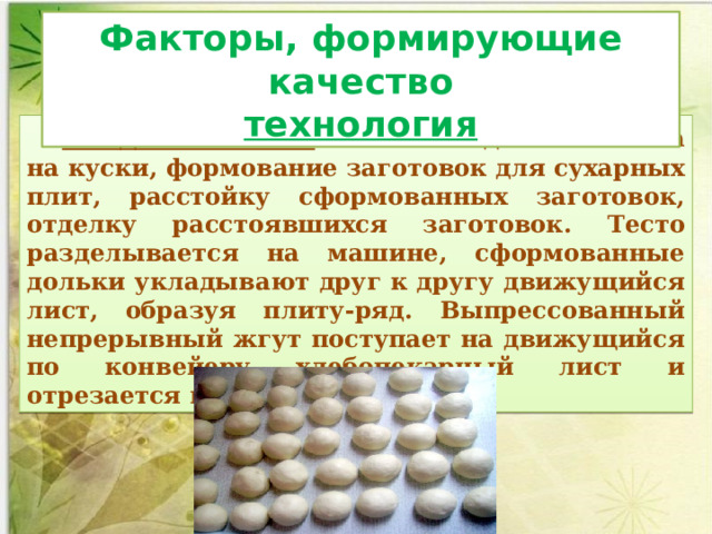 Факторы, формирующие качество технология Разделка теста  включает деление теста на куски, формование заготовок для сухарных плит, расстойку сформованных заготовок, отделку расстоявшихся заготовок. Тесто разделывается на машине, сформованные дольки укладывают друг к другу движущийся лист, образуя плиту-ряд. Выпрессованный непрерывный жгут поступает на движущийся по конвейеру хлебопекарный лист и отрезается по длине листа. 