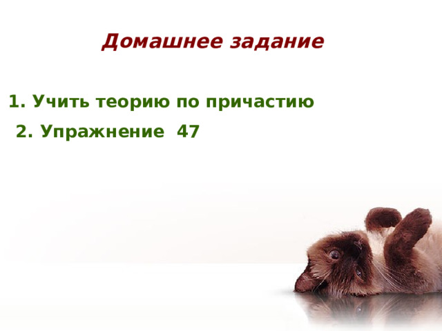 Домашнее задание 1. Учить теорию по причастию 2. Упражнение 47 