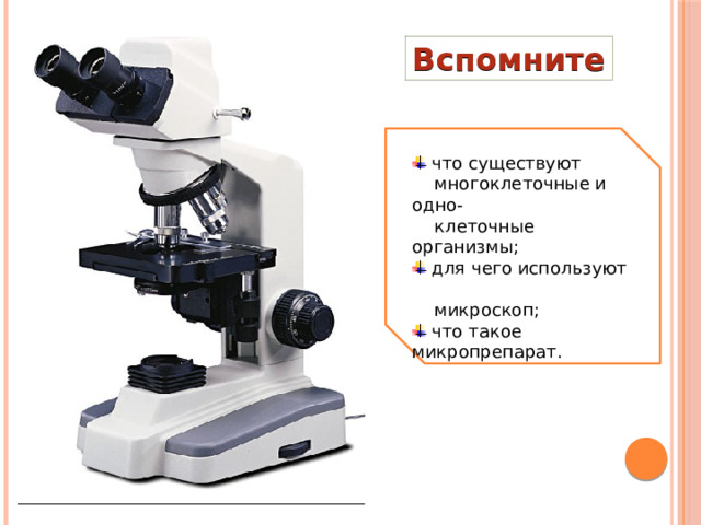 Вспомните  что существуют  многоклеточные и одно-  клеточные организмы;  для чего используют  микроскоп;  что такое микропрепарат . 