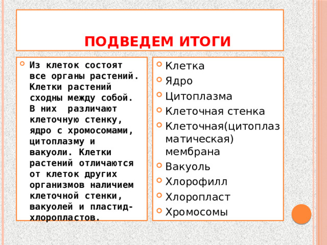  Подведем итоги Из клеток состоят все органы растений. Клетки растений сходны между собой. В них различают клеточную стенку, ядро с хромосомами, цитоплазму и вакуоли. Клетки растений отличаются от клеток других организмов наличием клеточной стенки, вакуолей и пластид- хлоропластов. Клетка Ядро Цитоплазма Клеточная стенка Клеточная(цитоплазматическая) мембрана Вакуоль Хлорофилл Хлоропласт Хромосомы 