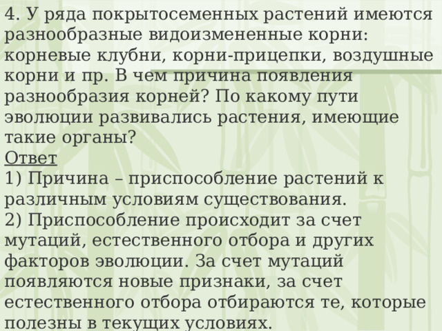 4. У ряда покрытосеменных растений имеются разнообразные видоизмененные корни: корневые клубни, корни-прицепки, воздушные корни и пр. В чем причина появления разнообразия корней? По какому пути эволюции развивались растения, имеющие такие органы? Ответ 1) Причина – приспособление растений к различным условиям существования.  2) Приспособление происходит за счет мутаций, естественного отбора и других факторов эволюции. За счет мутаций появляются новые признаки, за счет естественного отбора отбираются те, которые полезны в текущих условиях.  3) Идиоадаптация – путь эволюции, при котором происходит приспособление к различным условиям среды. 