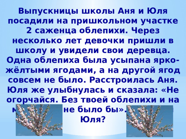 Выпускницы школы Аня и Юля посадили на пришкольном участке 2 саженца облепихи. Через несколько лет девочки пришли в школу и увидели свои деревца. Одна облепиха была усыпана ярко-жёлтыми ягодами, а на другой ягод совсем не было. Расстроилась Аня. Юля же улыбнулась и сказала: «Не огорчайся. Без твоей облепихи и на моей ягод не было бы». Права ли Юля? 