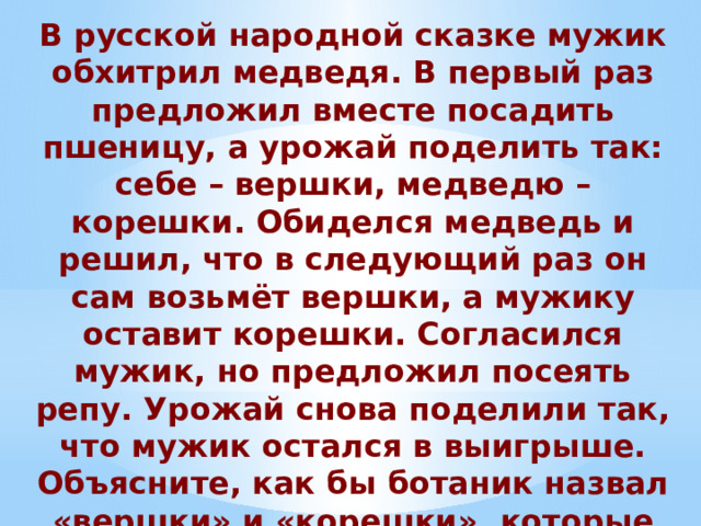 В русской народной сказке мужик обхитрил медведя. В первый раз предложил вместе посадить пшеницу, а урожай поделить так: себе – вершки, медведю – корешки. Обиделся медведь и решил, что в следующий раз он сам возьмёт вершки, а мужику оставит корешки. Согласился мужик, но предложил посеять репу. Урожай снова поделили так, что мужик остался в выигрыше. Объясните, как бы ботаник назвал «вершки» и «корешки», которые достались мужику. 