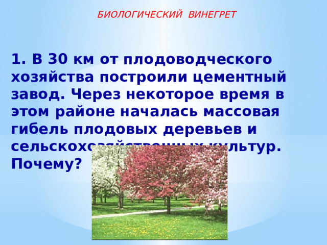 БИОЛОГИЧЕСКИЙ ВИНЕГРЕТ 1. В 30 км от плодоводческого хозяйства построили цементный завод. Через некоторое время в этом районе началась массовая гибель плодовых деревьев и сельскохозяйственных культур. Почему? 