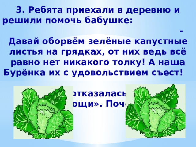 3. Ребята приехали в деревню и решили помочь бабушке: -Давай оборвём зелёные капустные листья на грядках, от них ведь всё равно нет никакого толку! А наша Бурёнка их с удовольствием съест! Бабушка отказалась от такой «помощи». Почему? 