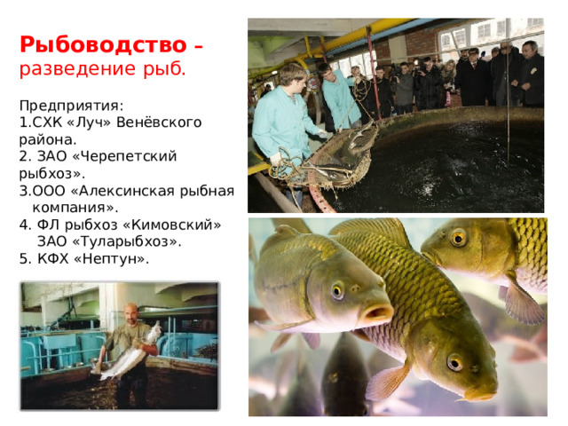 Презентация. Животноводство - География - Презентации - 8 класс