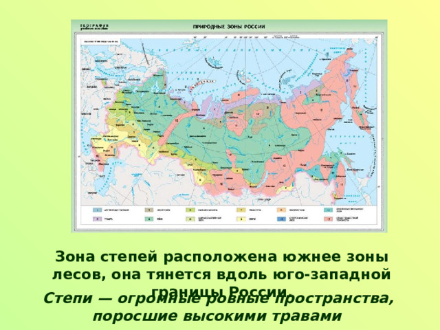 Какие территории россии занимает зона степи