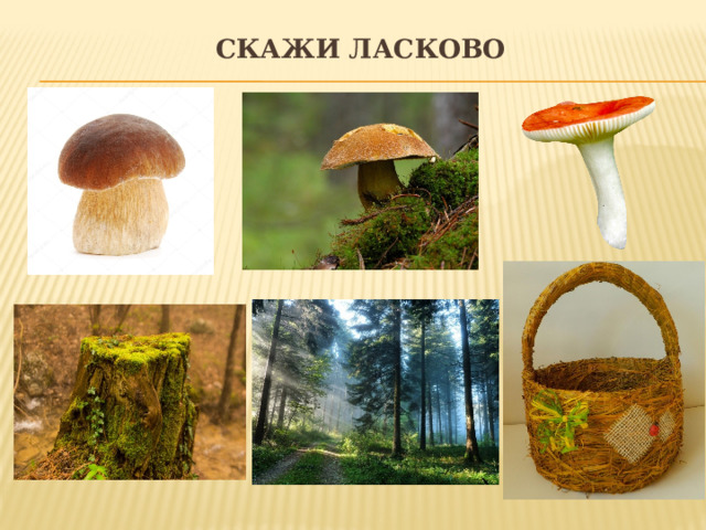 Скажи ласково 