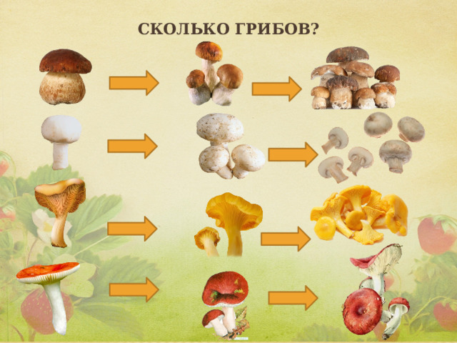 Сколько грибов?   