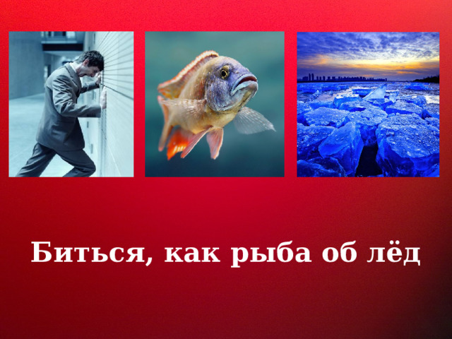 Биться, как рыба об лёд 