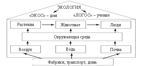 Описание экологических связей изобрази их с помощью схемы