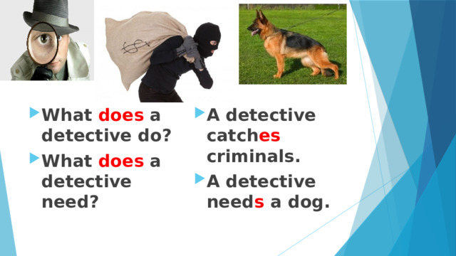 What does a detective do? What does a detective need? A detective catch es criminals. A detective need s a dog. 