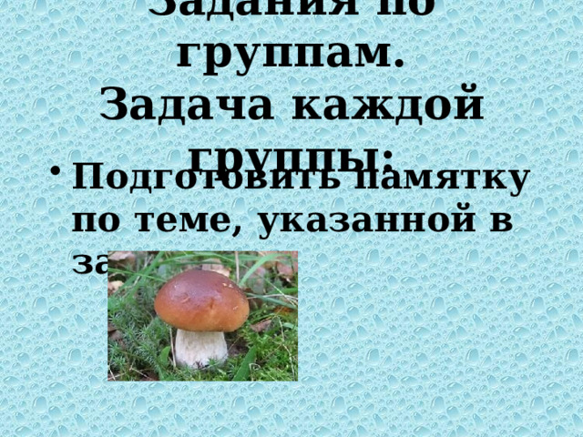 Характеристика искусственно выращиваемых съедобных грибов