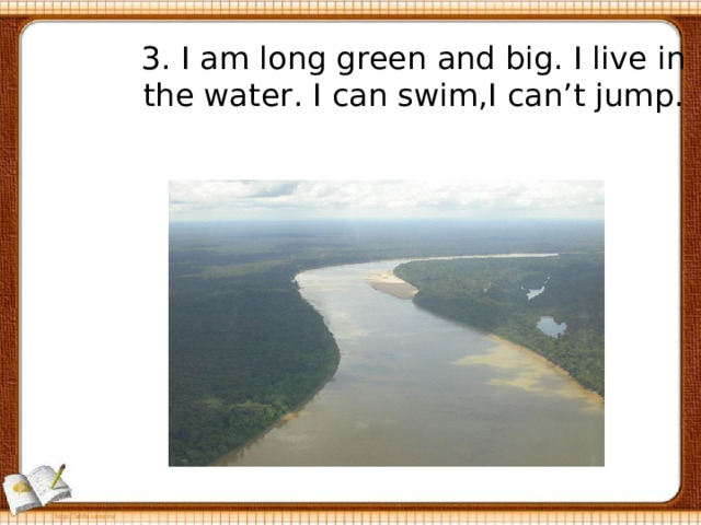 3. I am long green and big. I live in the water. I can swim,I can’t jump. 