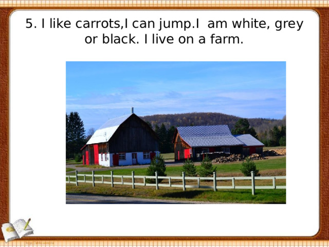 5. I like carrots,I can jump.I am white, grey  or black. I live on a farm. 
