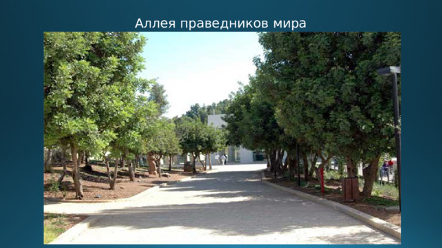 Аллея праведников мира 