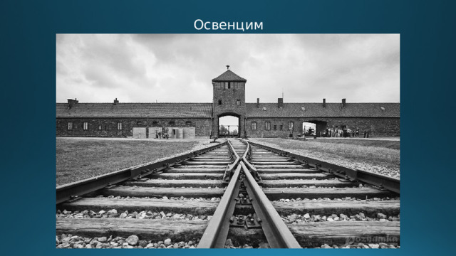 Освенцим 