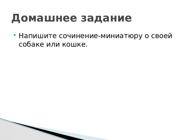 Домашнее задание Напишите сочинение-миниатюру о своей собаке или кошке. 