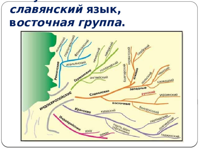1. Русский язык – славянский язык, в осточная группа . 