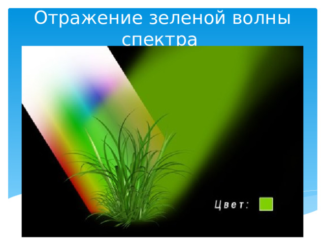 Отражение зеленой волны спектра  