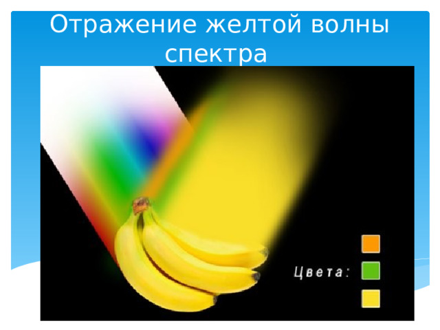 Отражение желтой волны спектра 