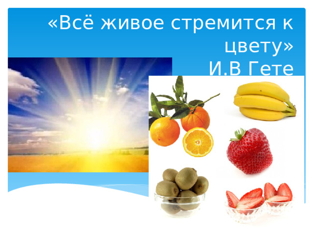  «Всё живое стремится к цвету»  И.В Гете 