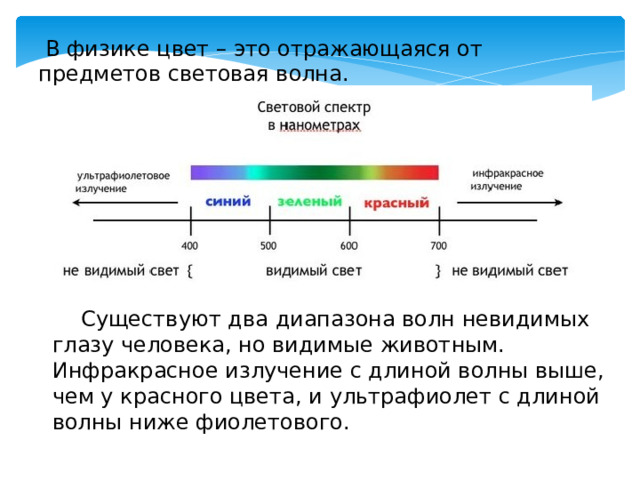  В физике цвет – это отражающаяся от предметов световая волна.   Существуют два диапазона волн невидимых глазу человека, но видимые животным. Инфракрасное излучение с длиной волны выше, чем у красного цвета, и ультрафиолет с длиной волны ниже фиолетового. 