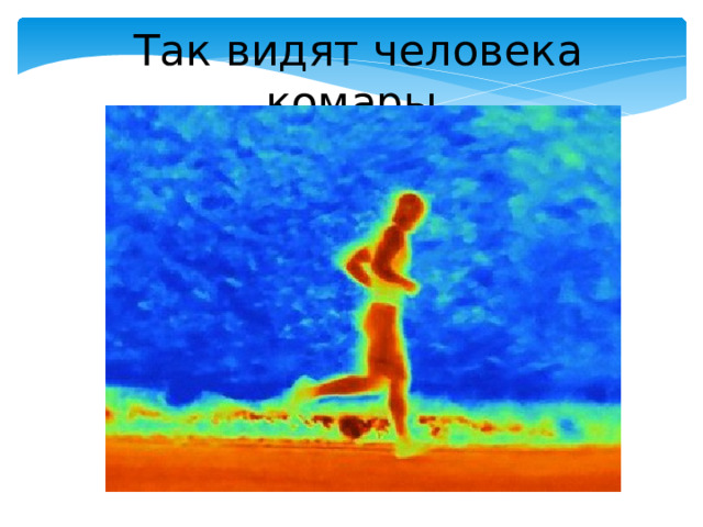   Так видят человека комары 