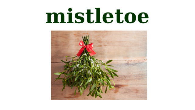 mistletoe 